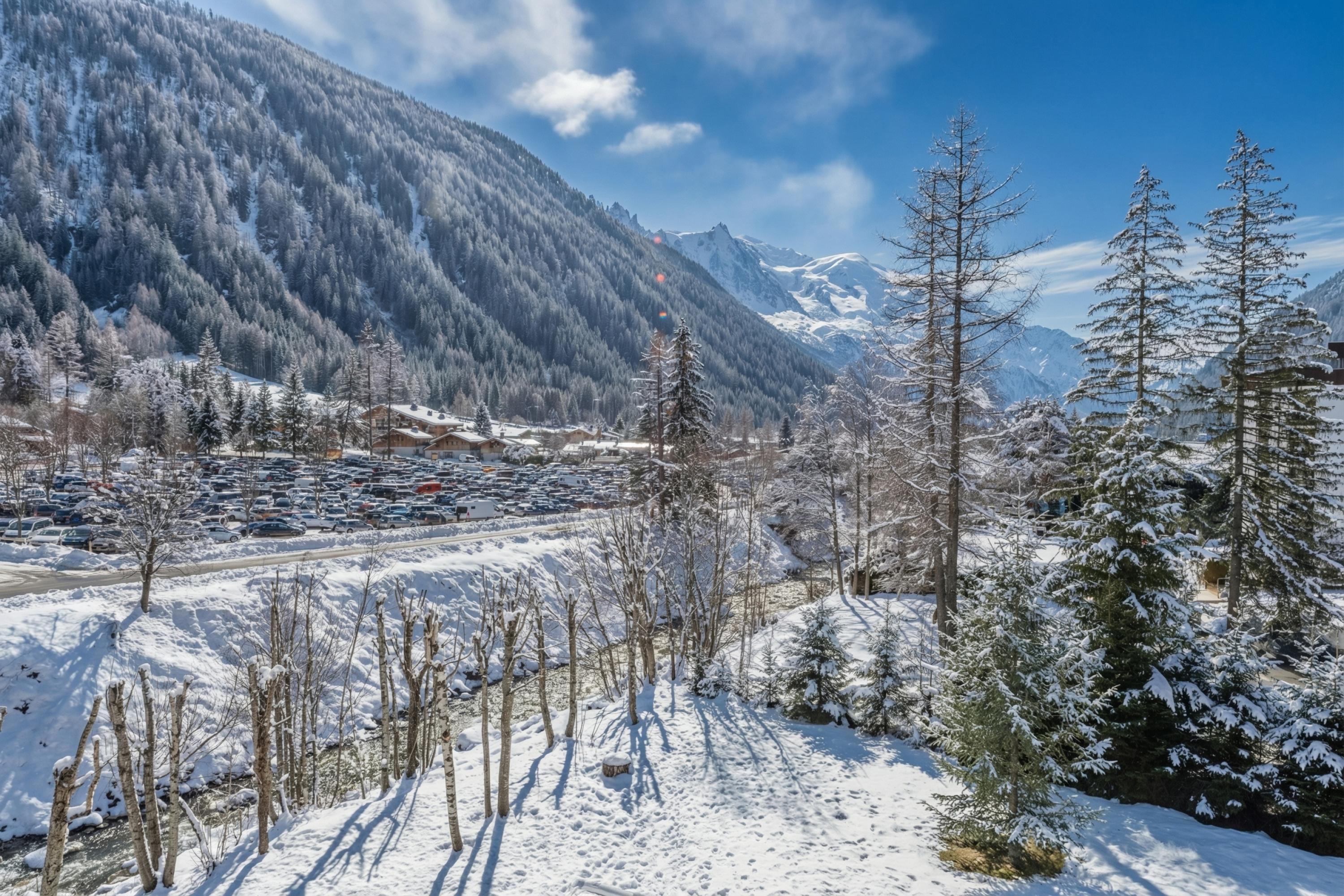 Grand Roc A215 à 150m des pistes - Annulation gratuite J-7 - 19