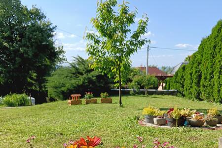 Buitenkant