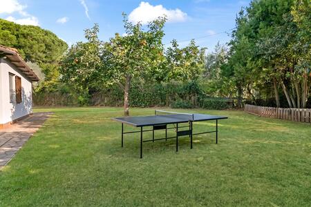 Tischtennis